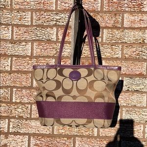 Coach 12429 Signature Berry Stripe Tote Bag